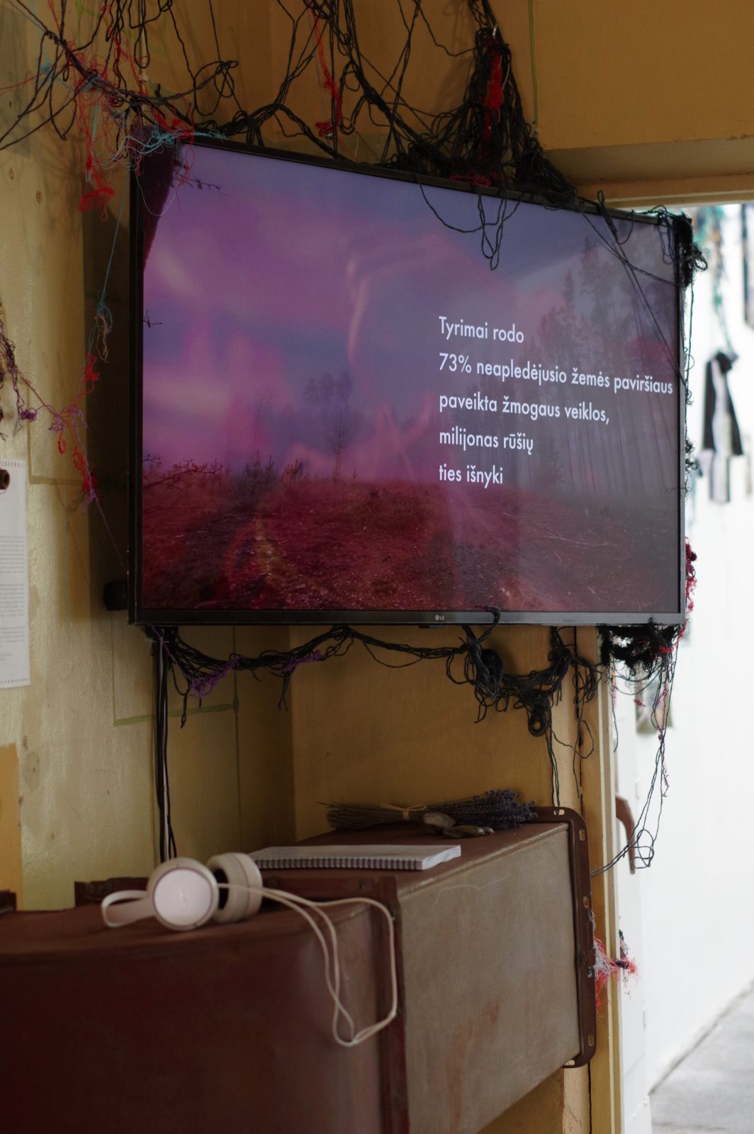 Rhizome of Connections