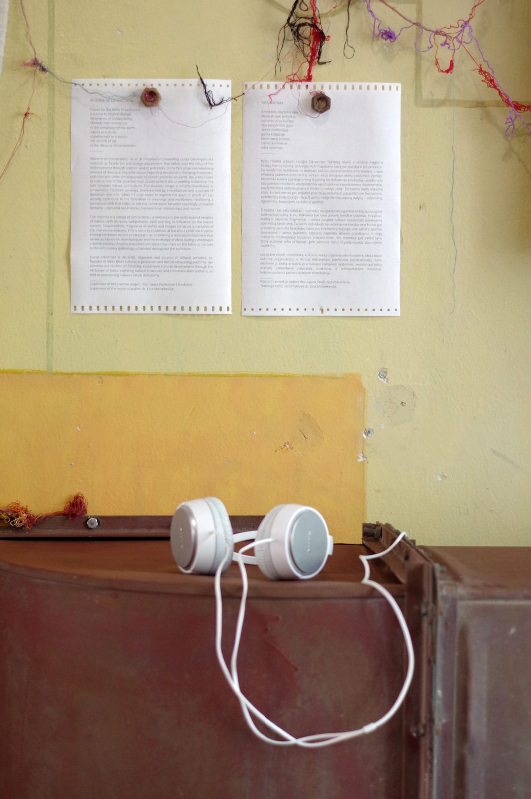 Rhizome of Connections