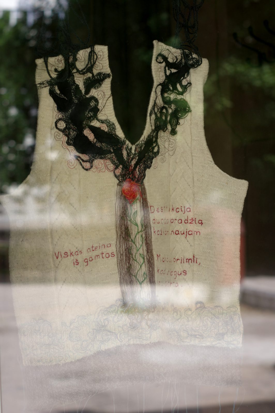 Rhizome of Connections