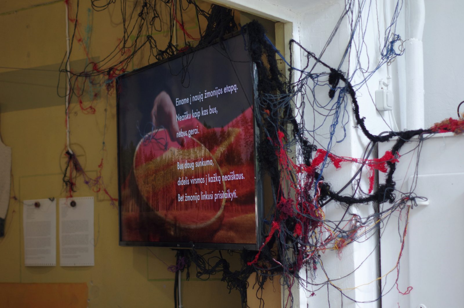 Rhizome of Connections