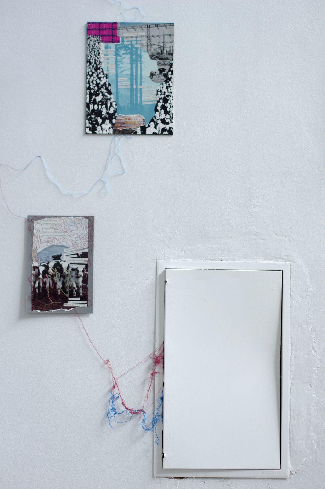 Rhizome of Connections