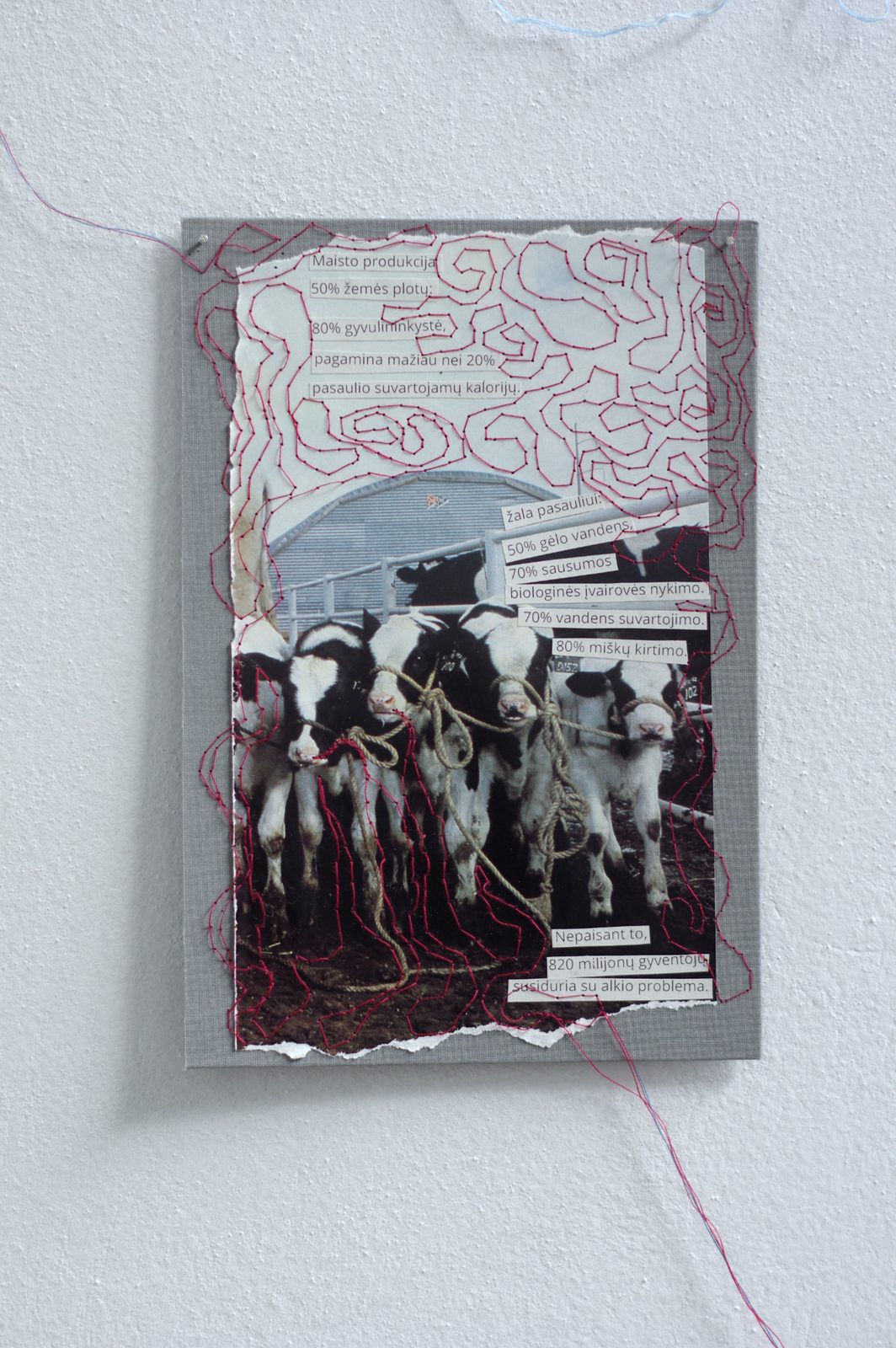 Rhizome of Connections