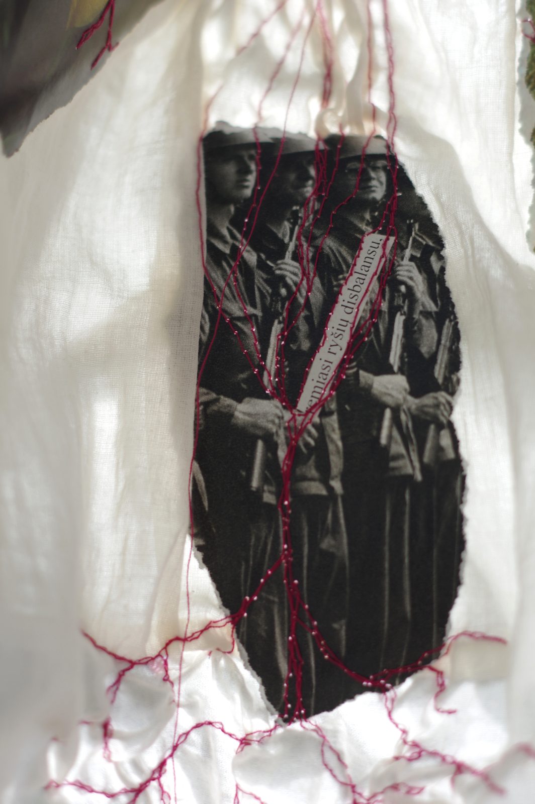 Rhizome of Connections