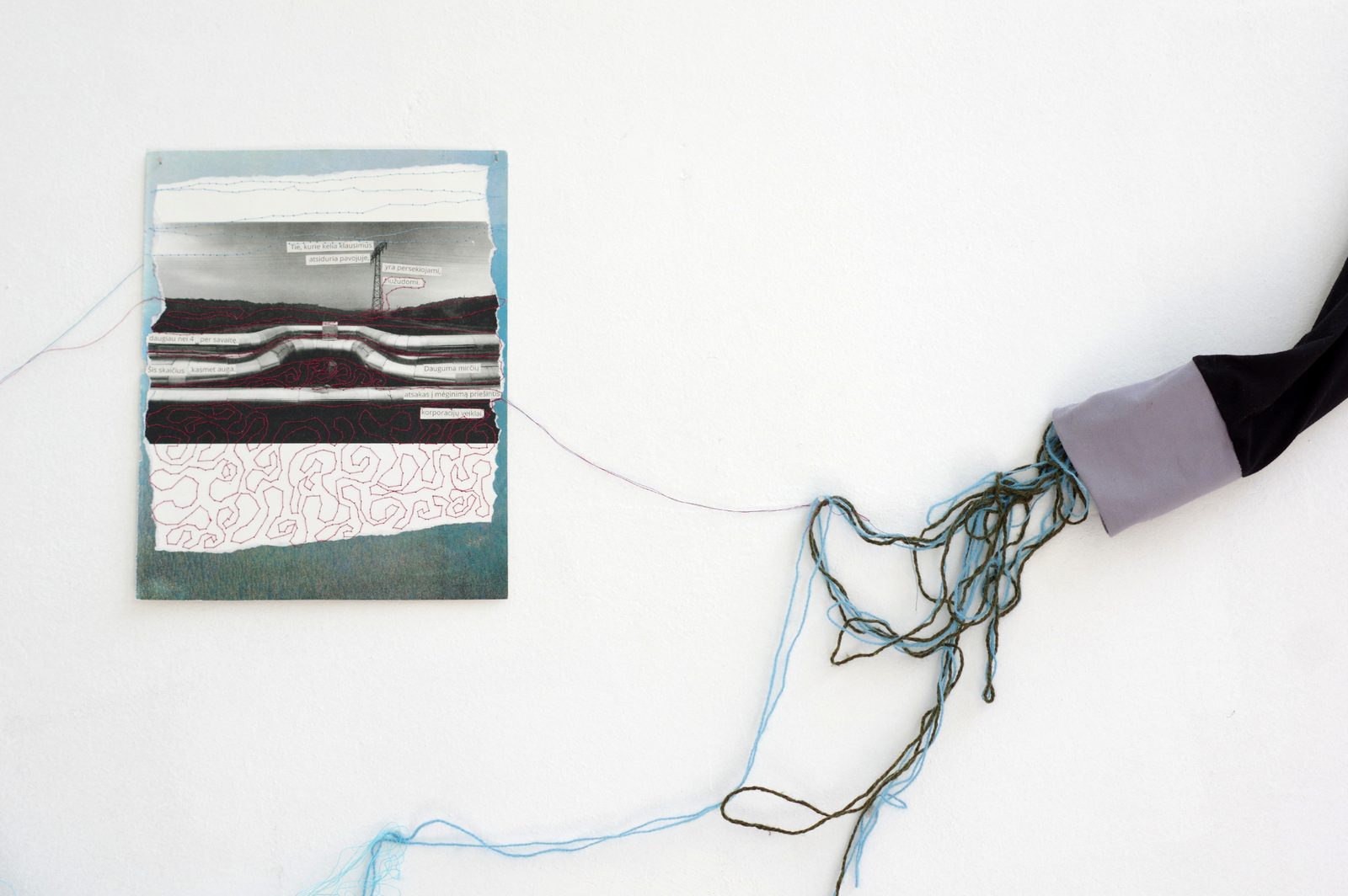 Rhizome of Connections