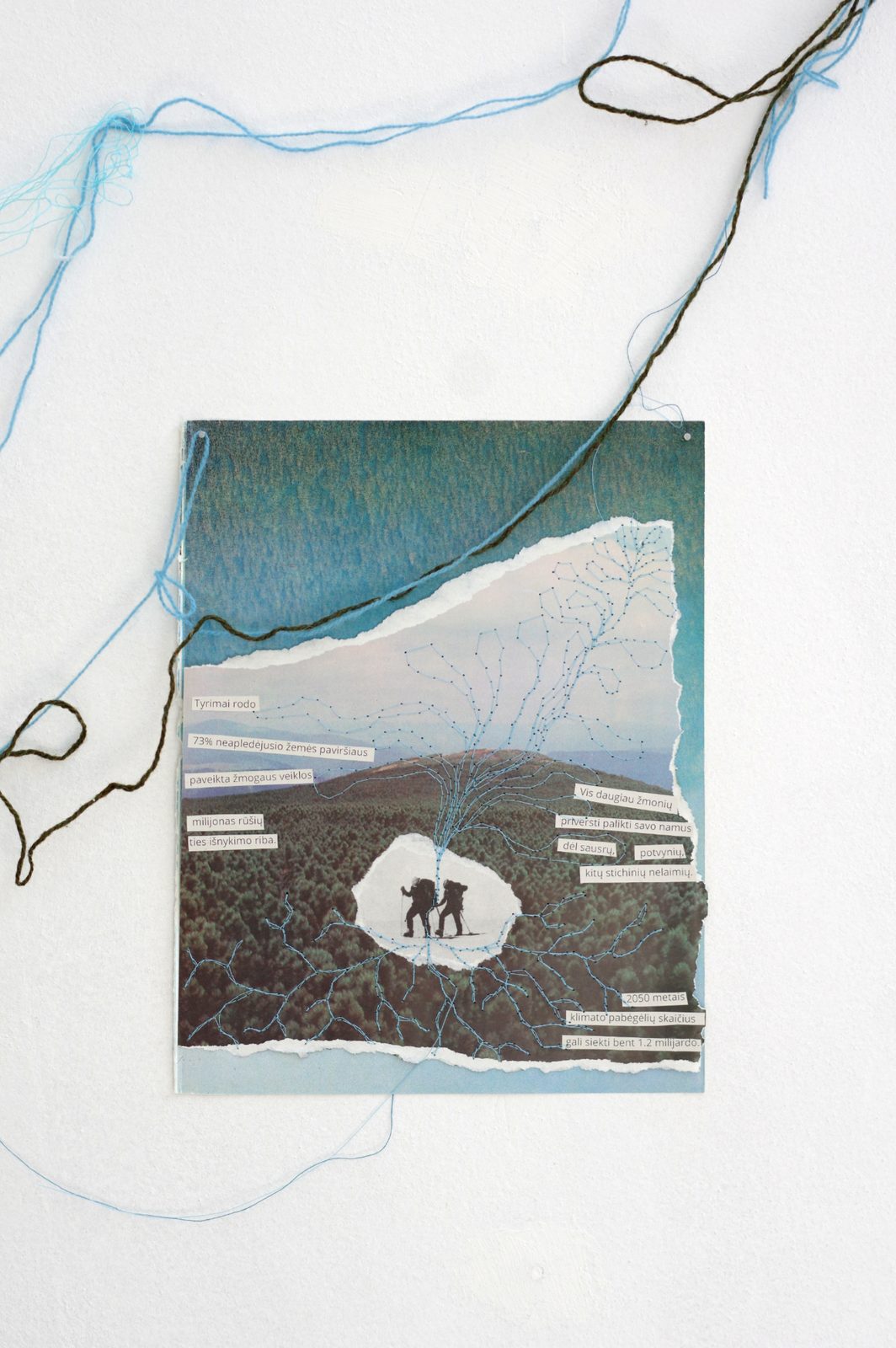 Rhizome of Connections