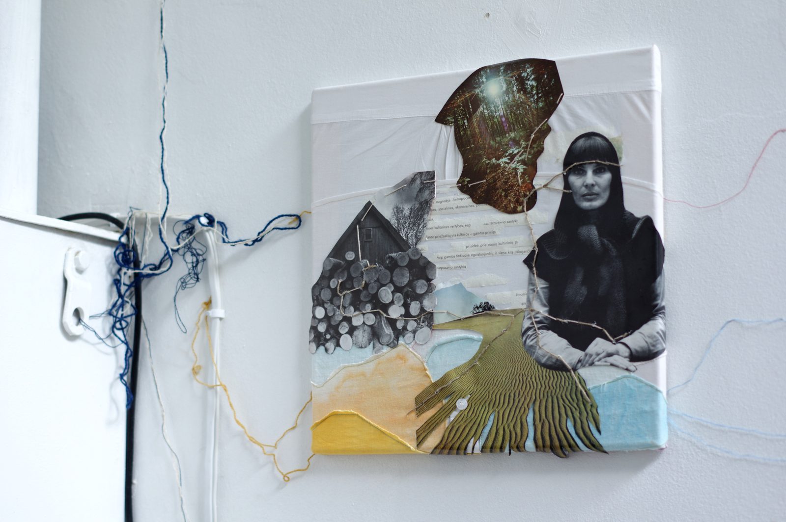 Rhizome of Connections