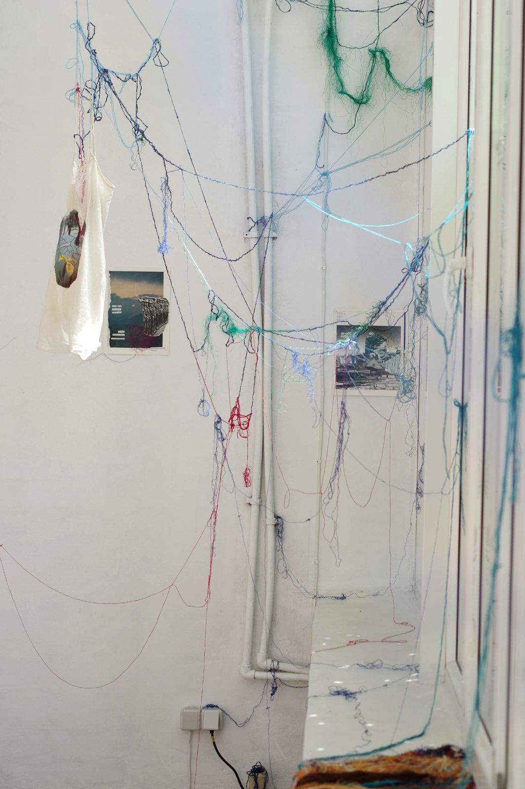 Rhizome of Connections