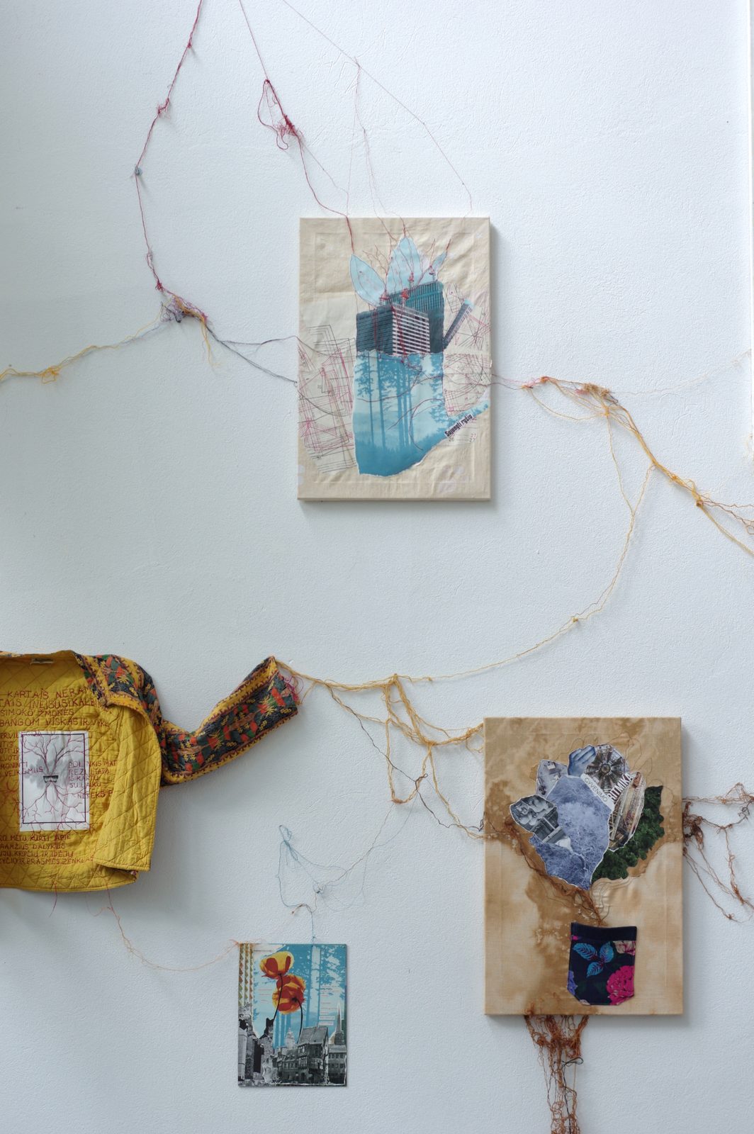 Rhizome of Connections