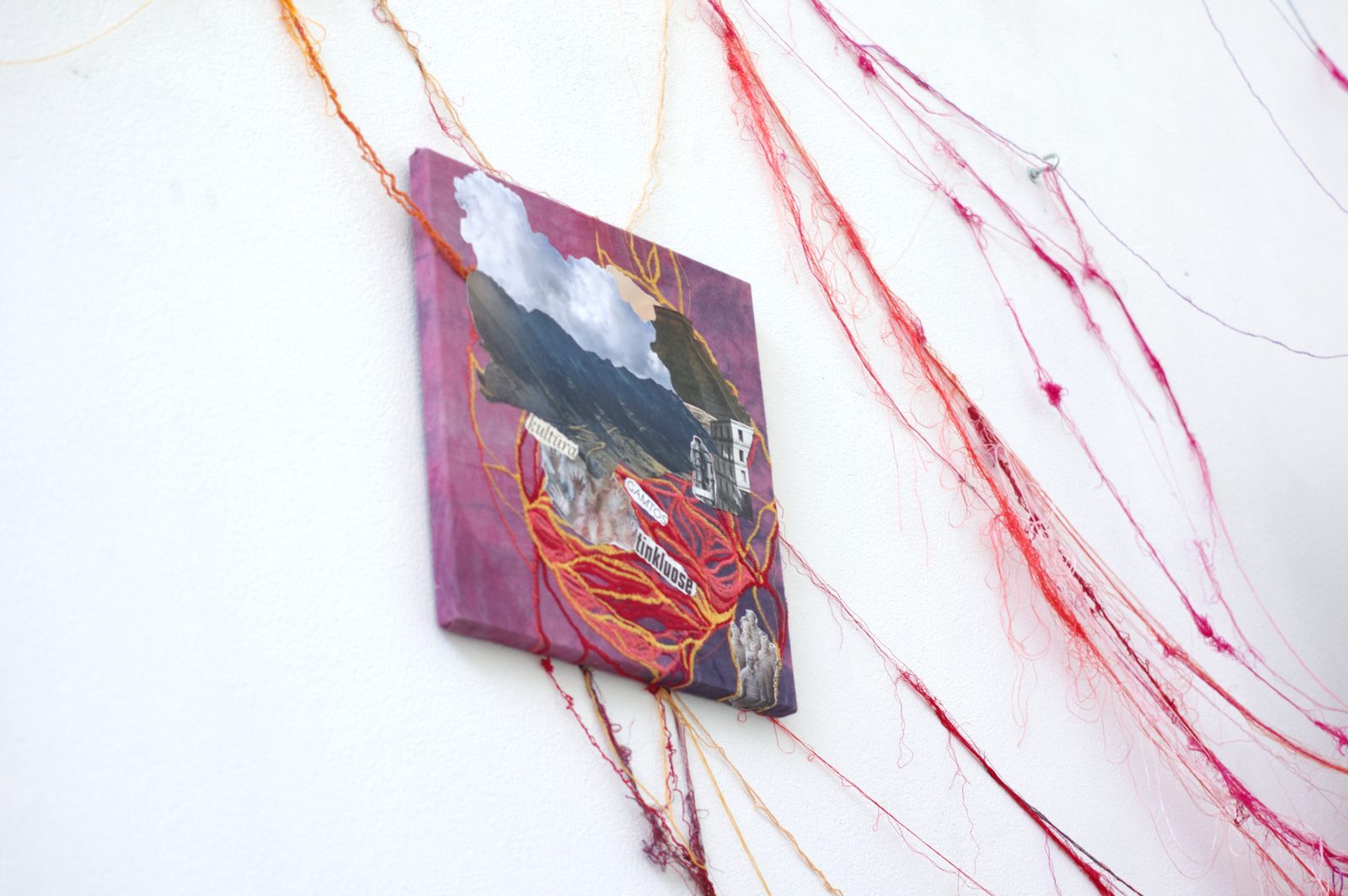 Rhizome of Connections