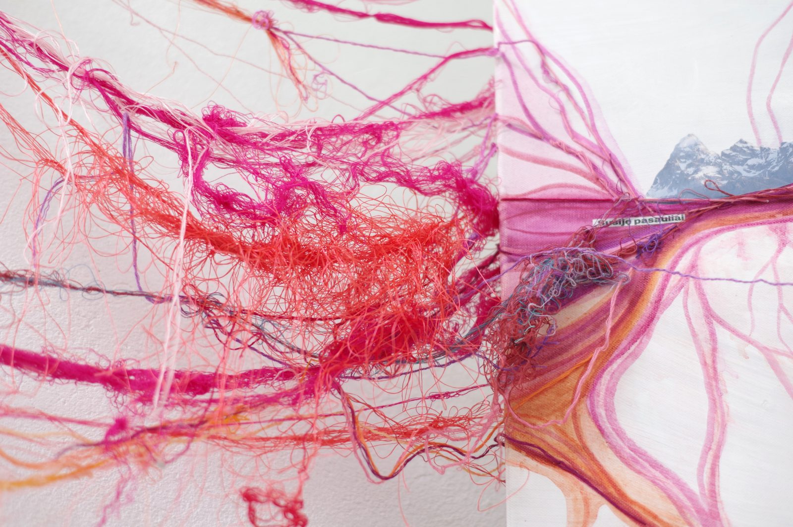 Rhizome of Connections