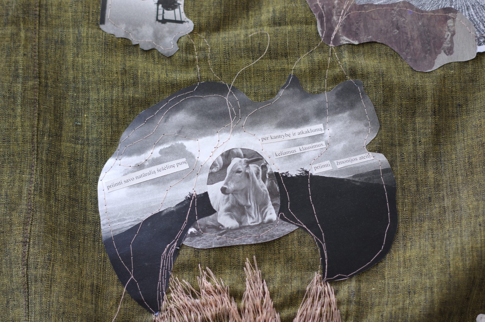 Rhizome of Connections