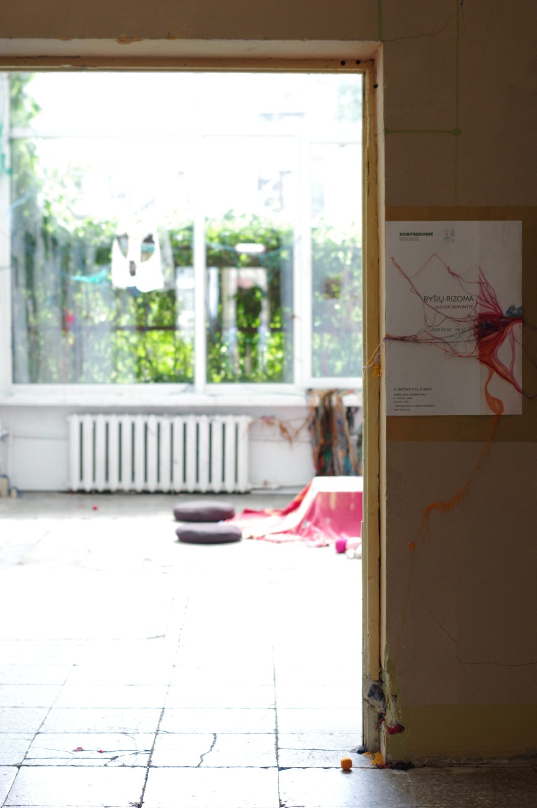 Rhizome of Connections