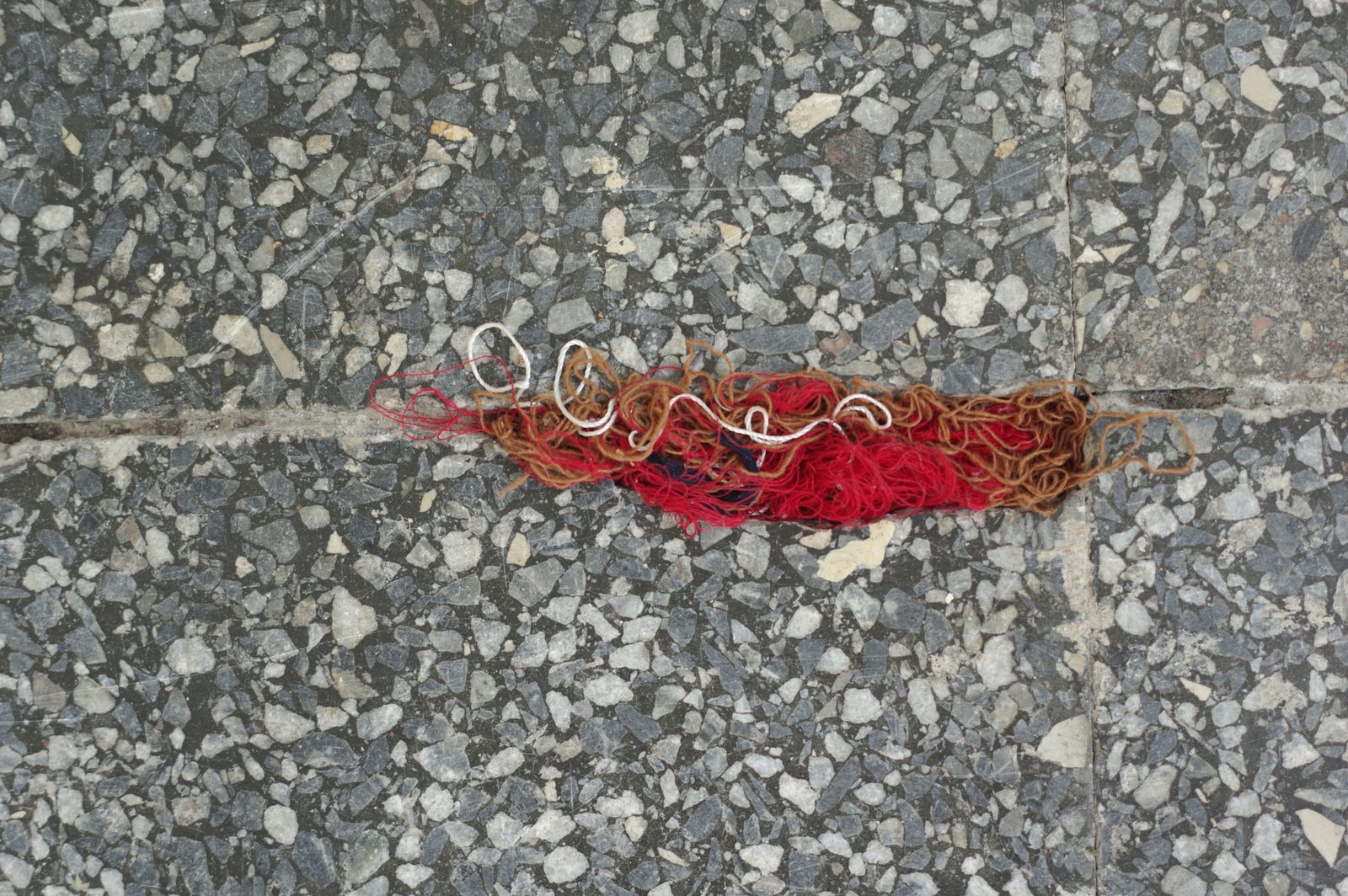 Rhizome of Connections