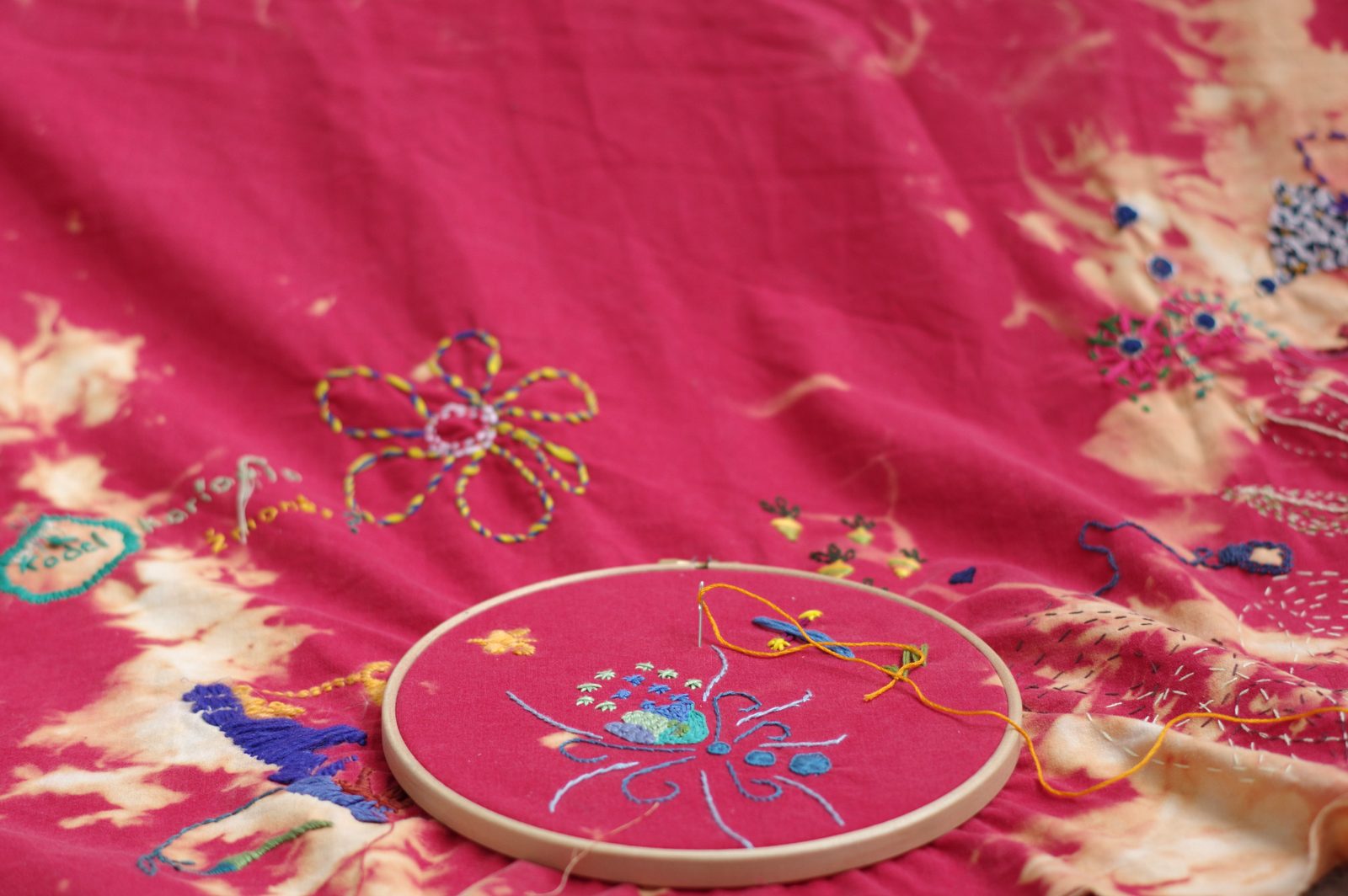 Rhizome of Connections