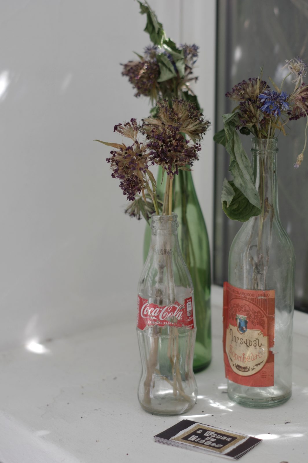 A Wild and Violent Sea