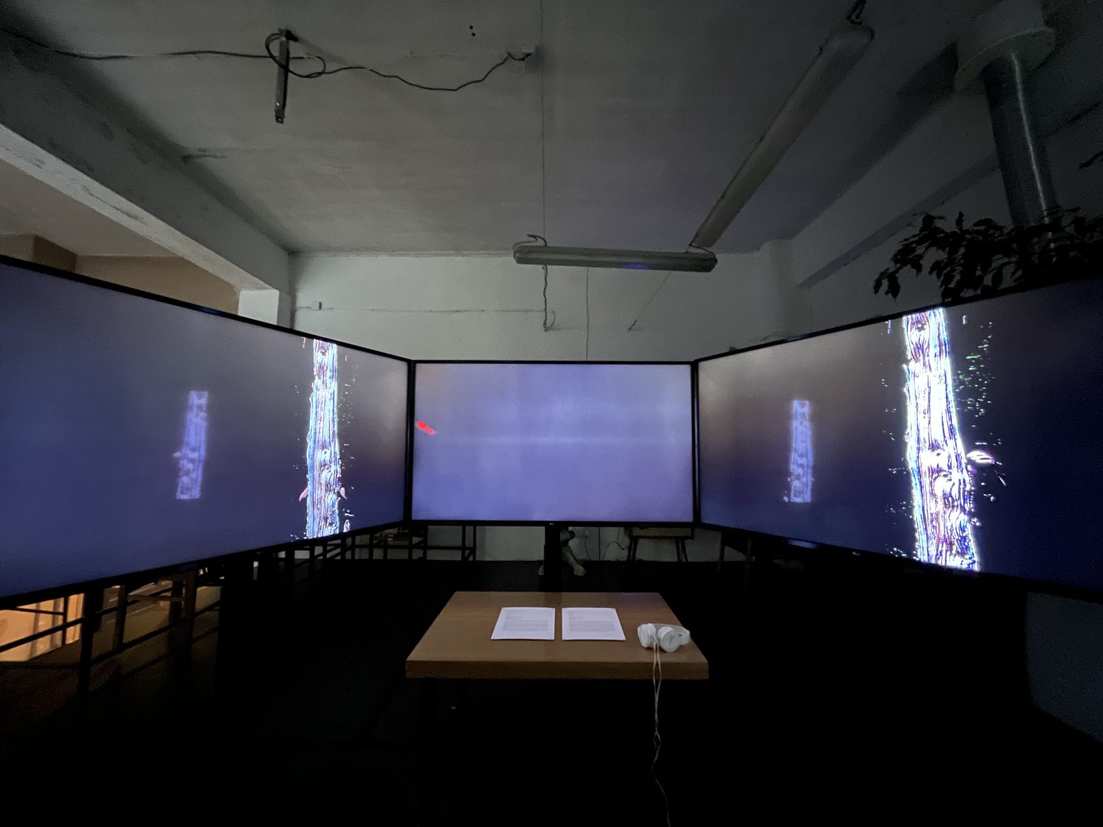 Chronology of Relationships