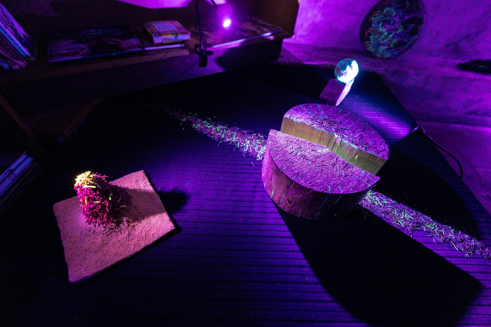 Chronology of Relationships