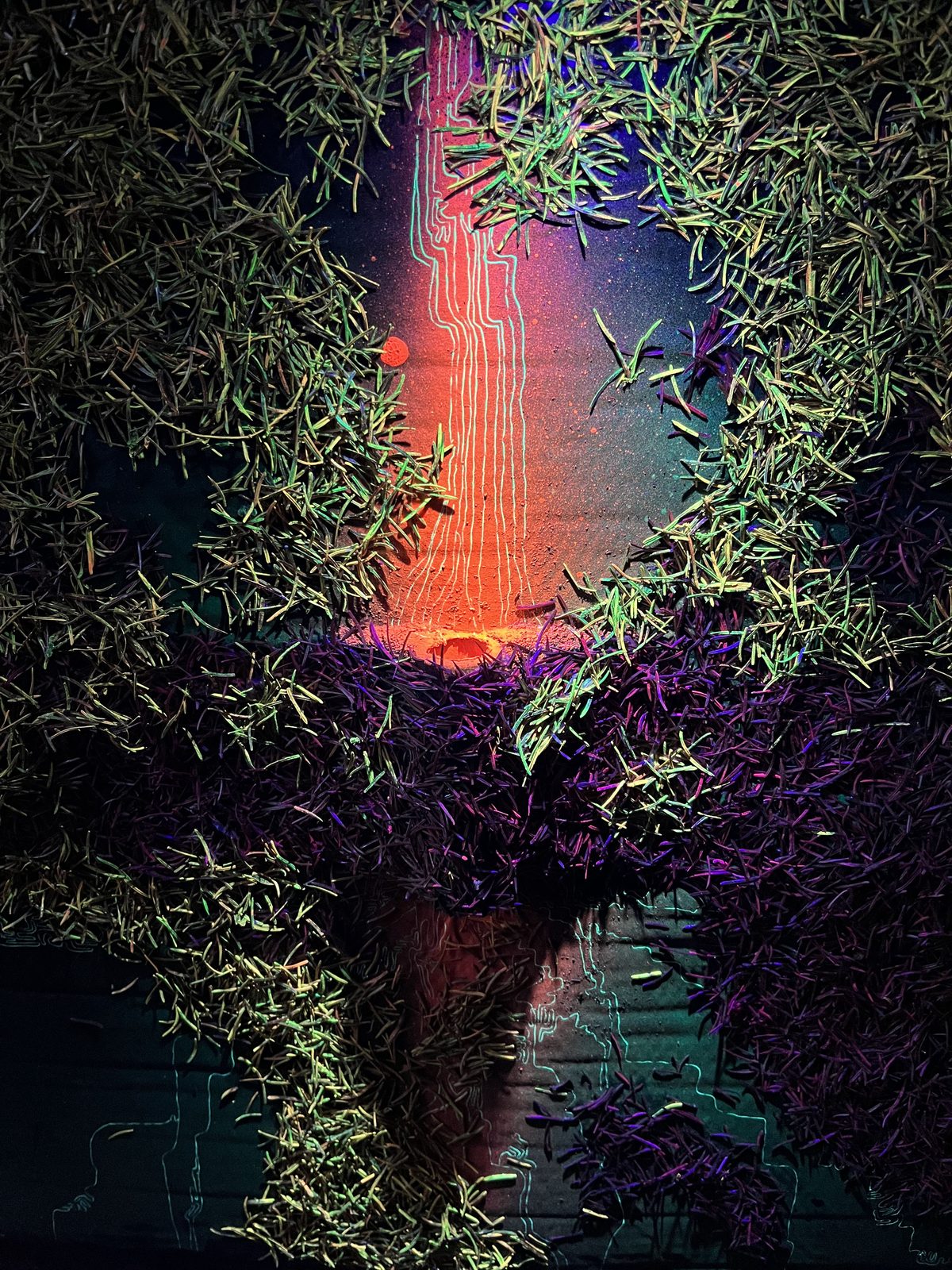 Chronology of Relationships