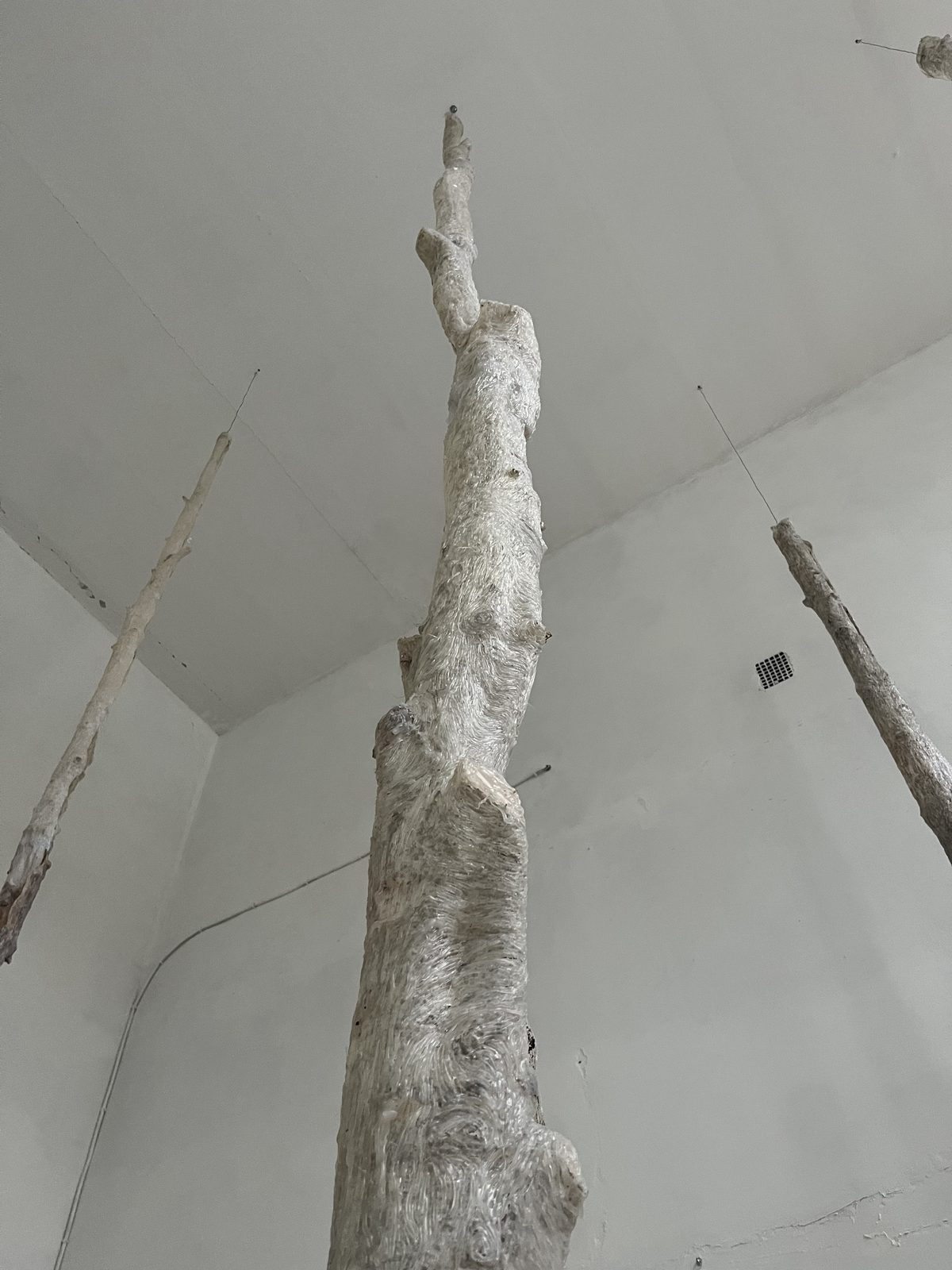 Chronology of Relationships