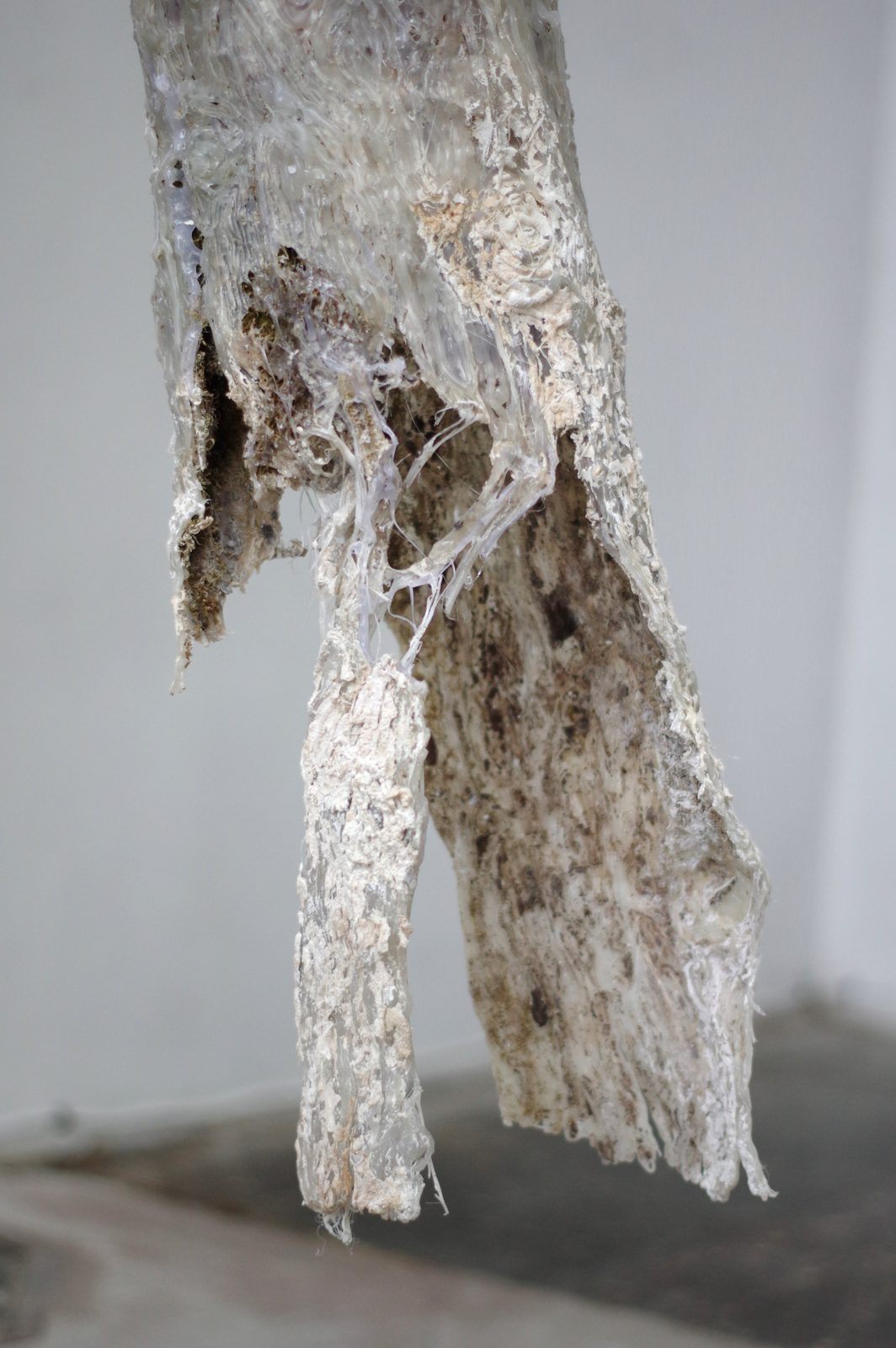 Chronology of Relationships