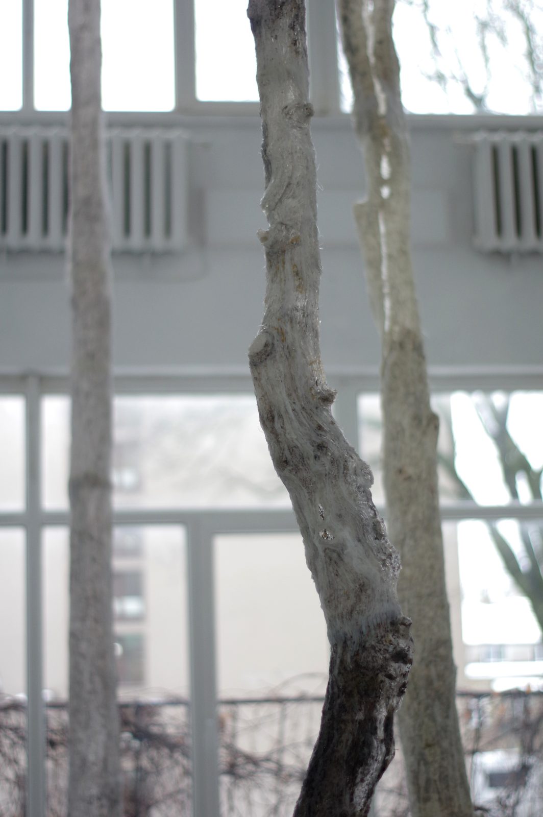 Chronology of Relationships