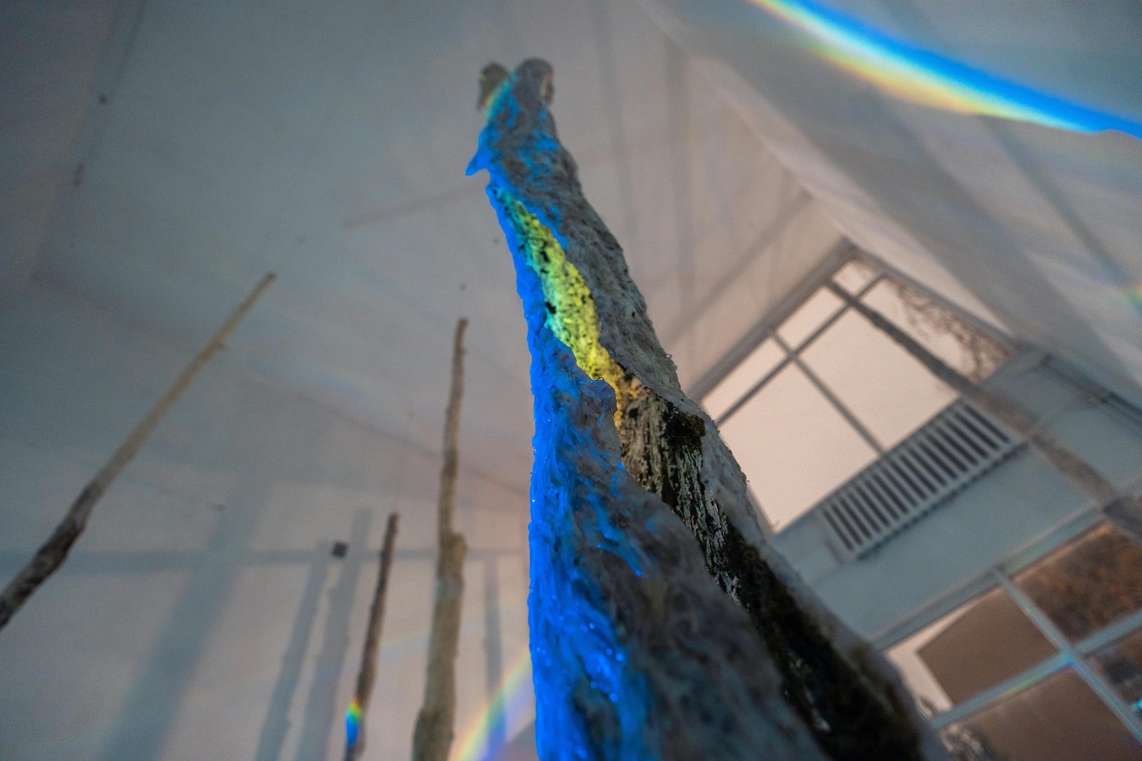 Chronology of Relationships