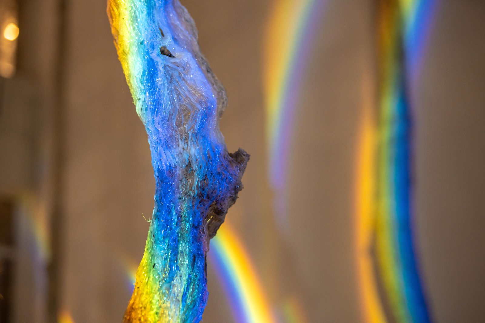 Chronology of Relationships