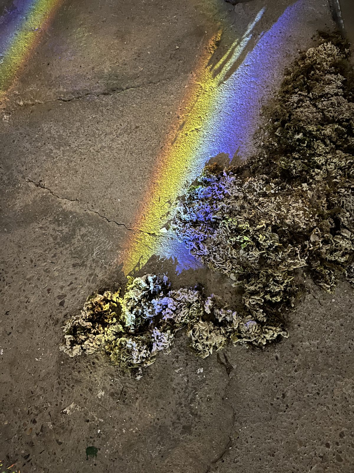 Chronology of Relationships