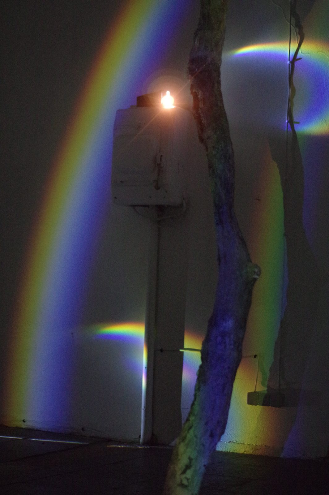 Chronology of Relationships