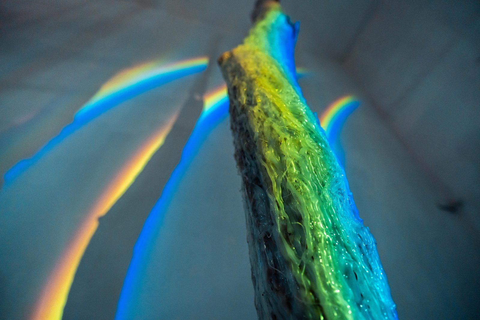 Chronology of Relationships