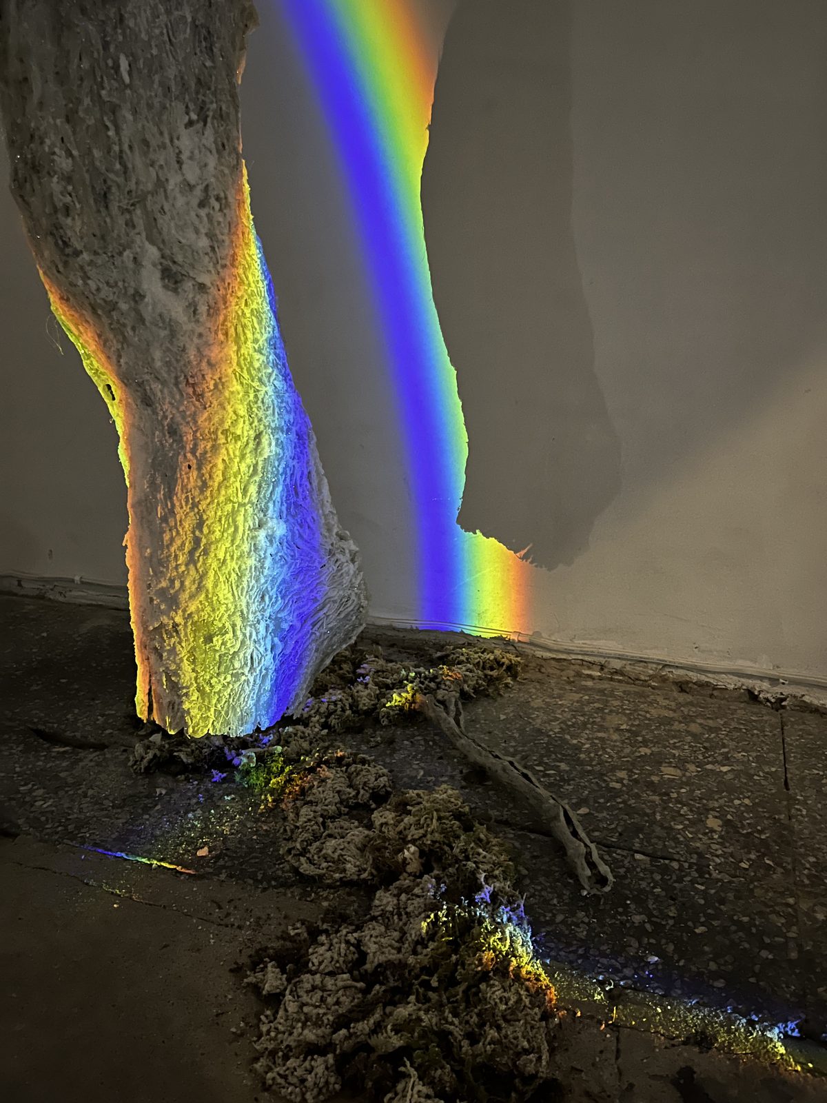 Chronology of Relationships