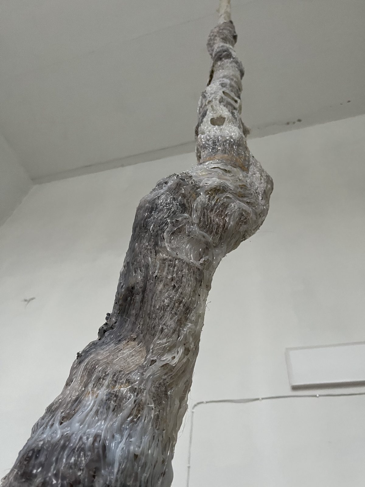 Chronology of Relationships