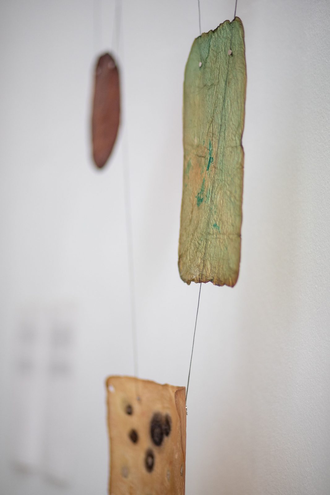 Humans, non-humans, with and without humans