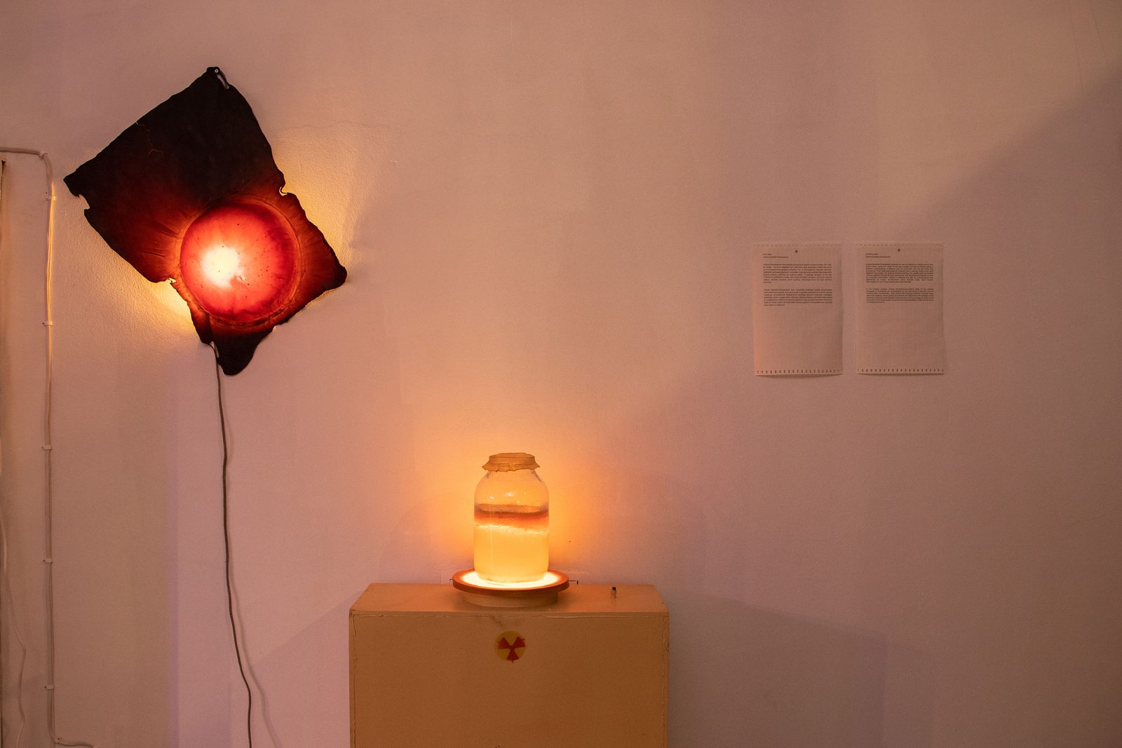 Humans, non-humans, with and without humans