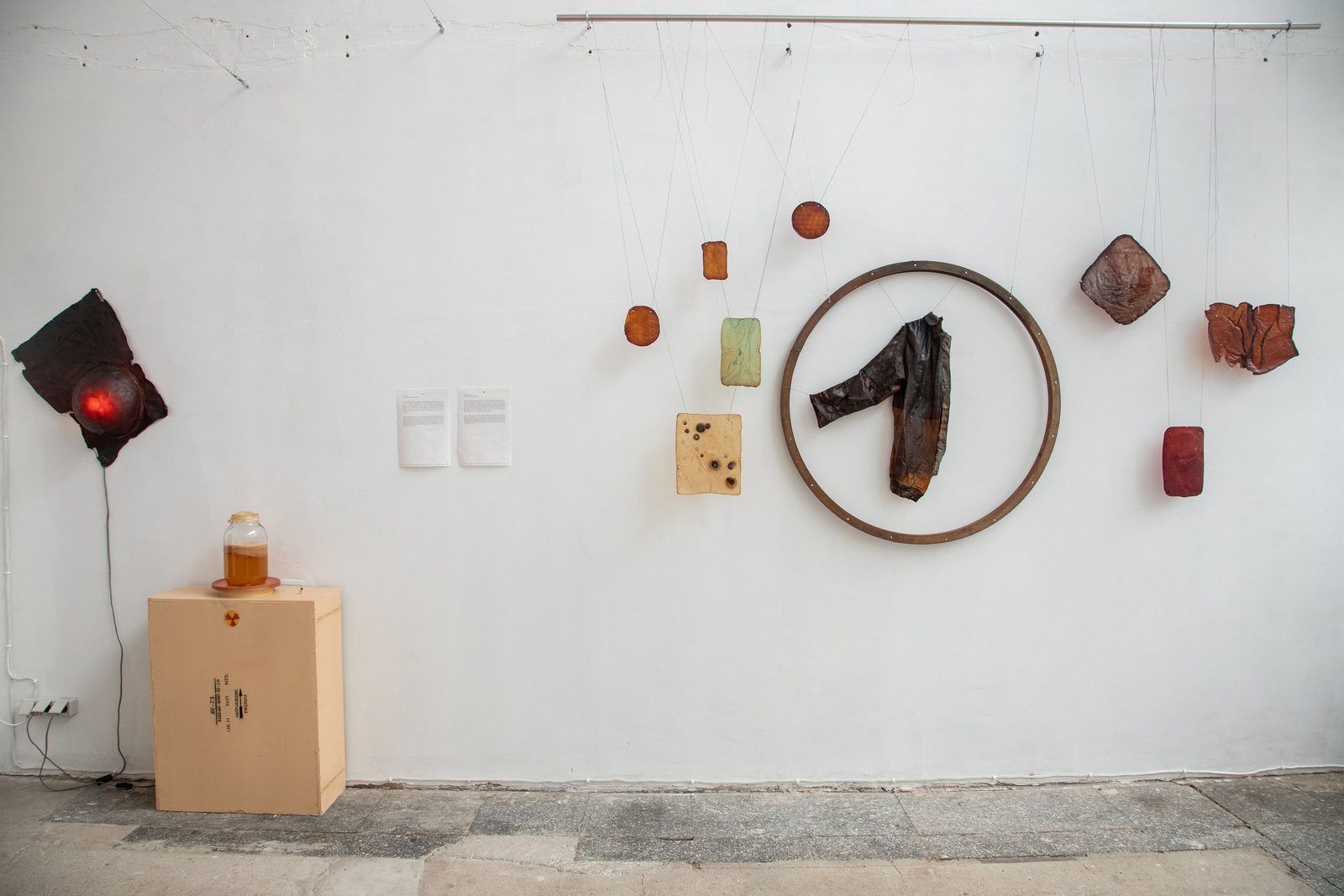 Humans, non-humans, with and without humans