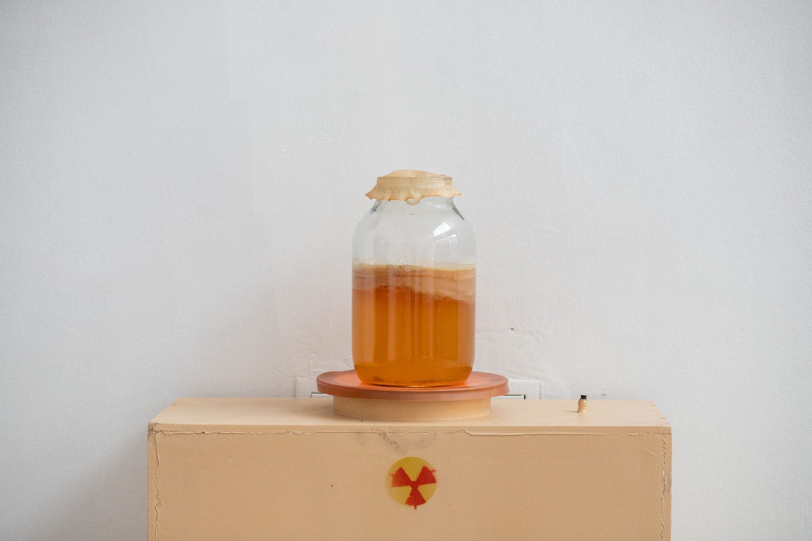 Humans, non-humans, with and without humans