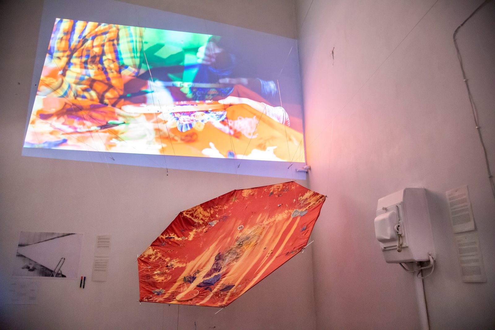 Humans, non-humans, with and without humans