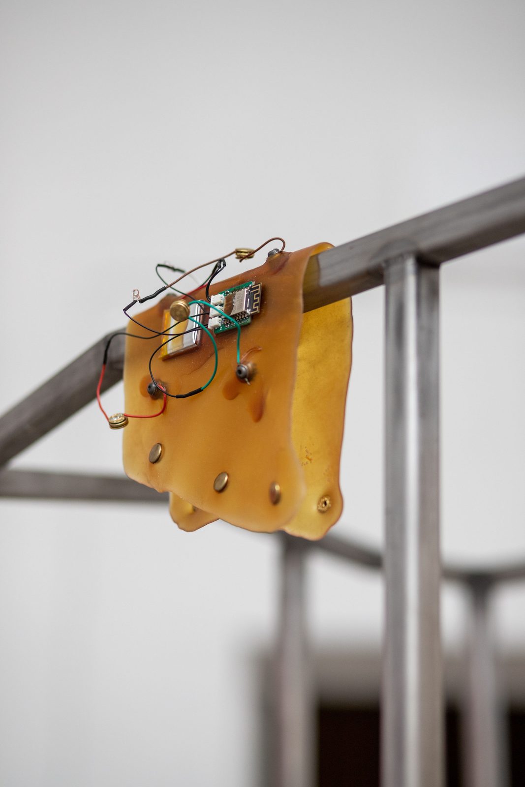 Humans, non-humans, with and without humans