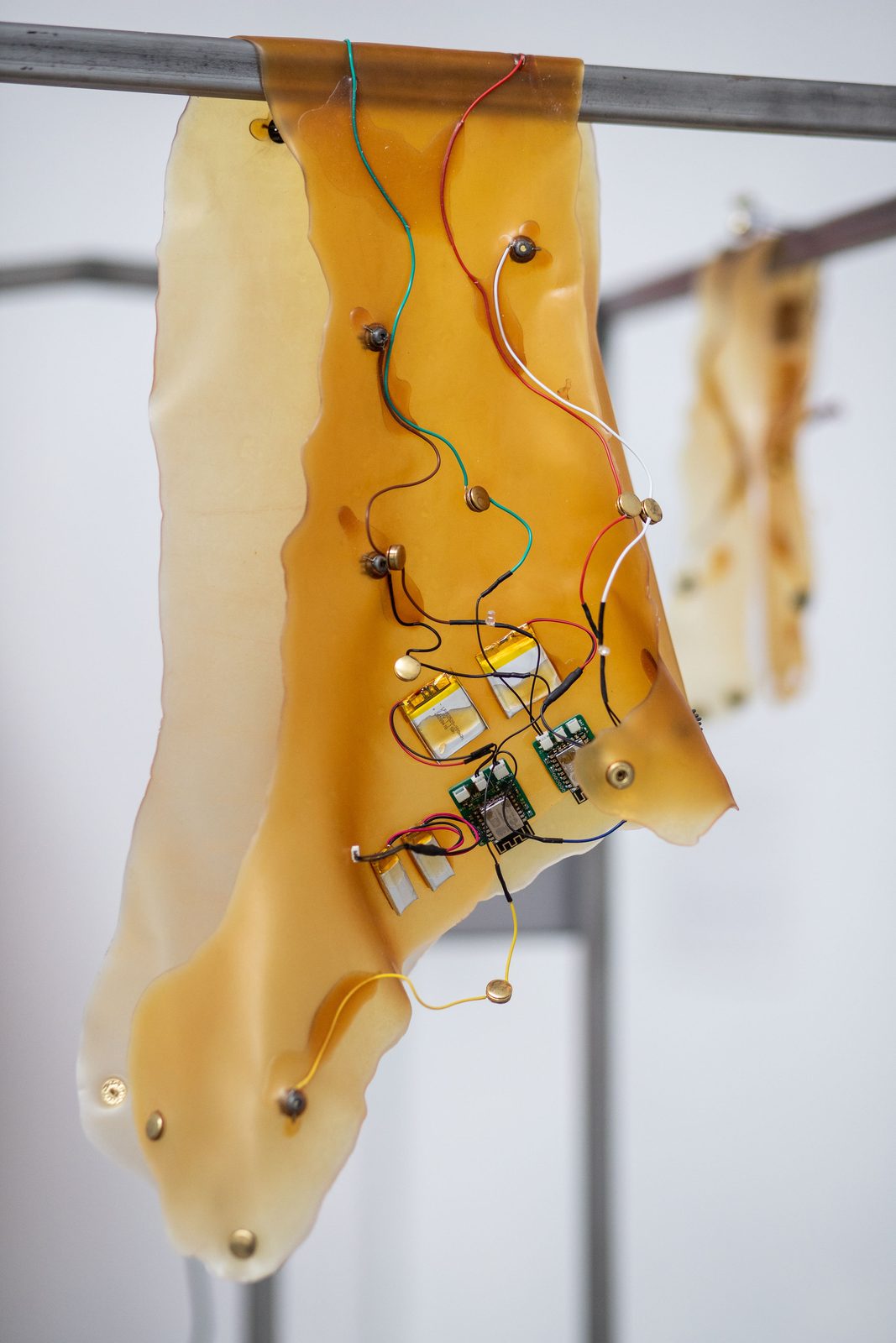 Humans, non-humans, with and without humans