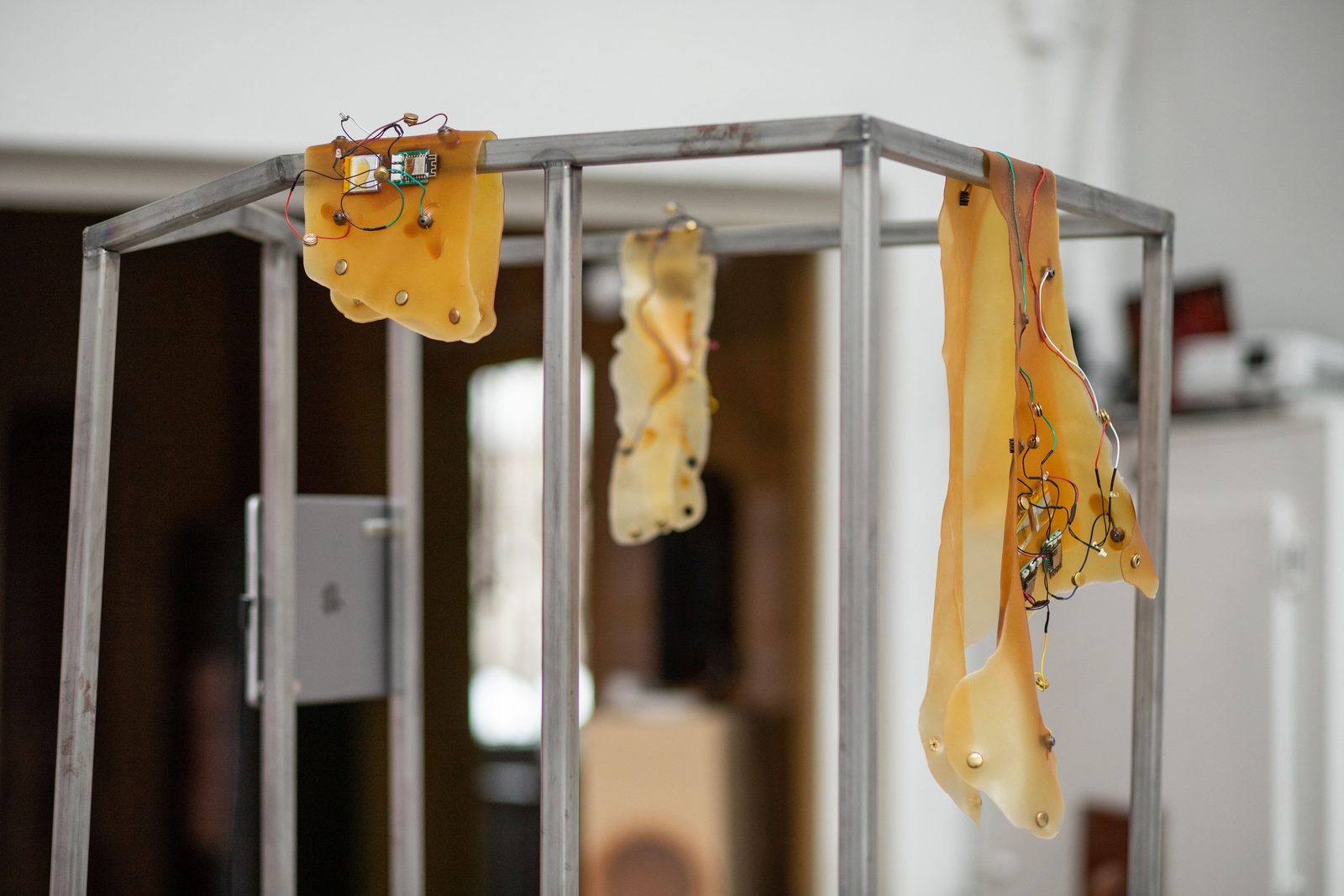 Humans, non-humans, with and without humans