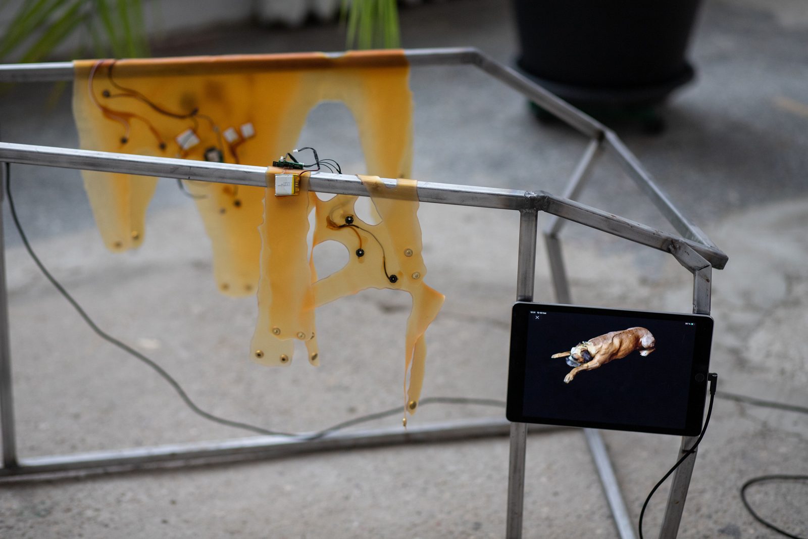 Humans, non-humans, with and without humans