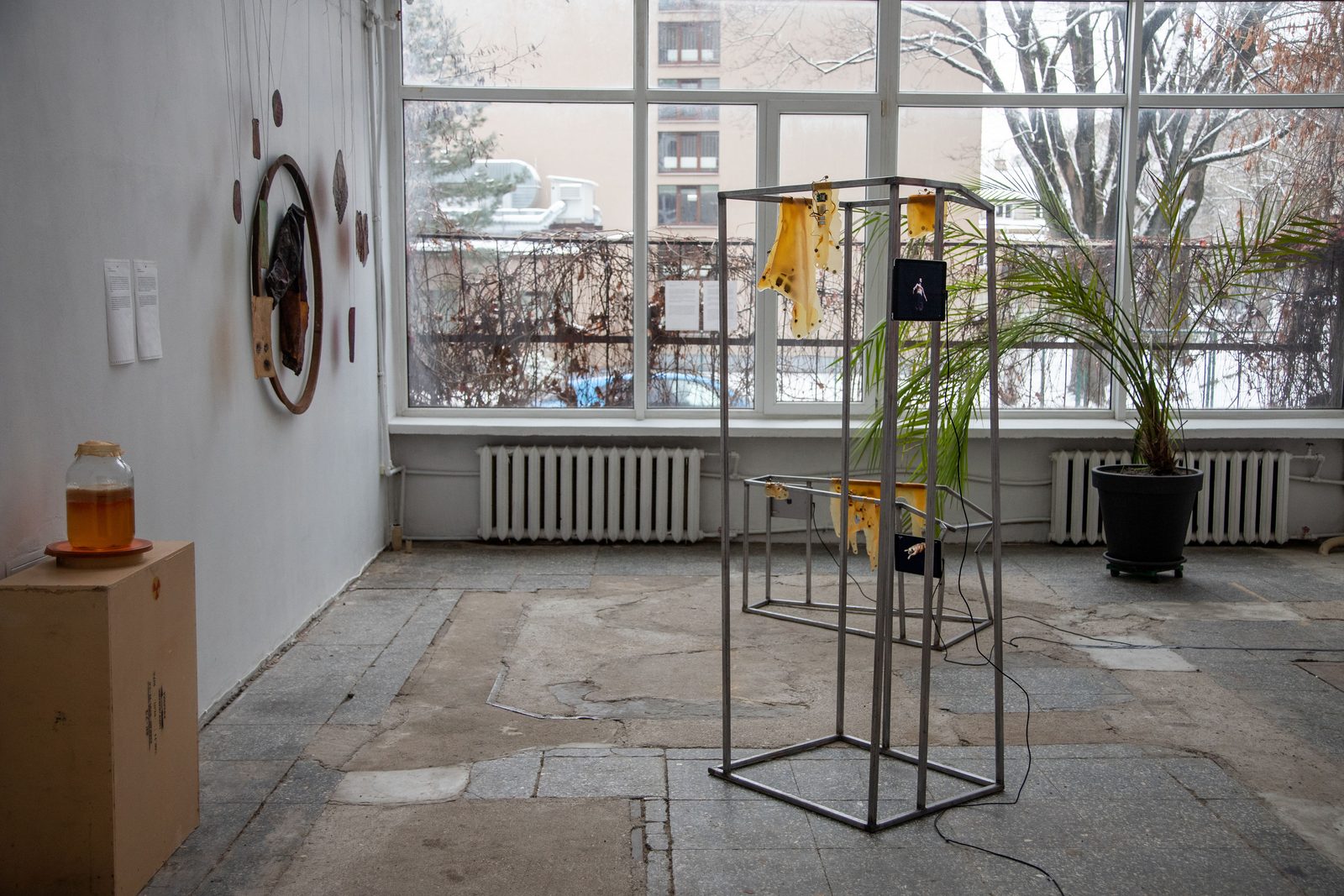 Humans, non-humans, with and without humans