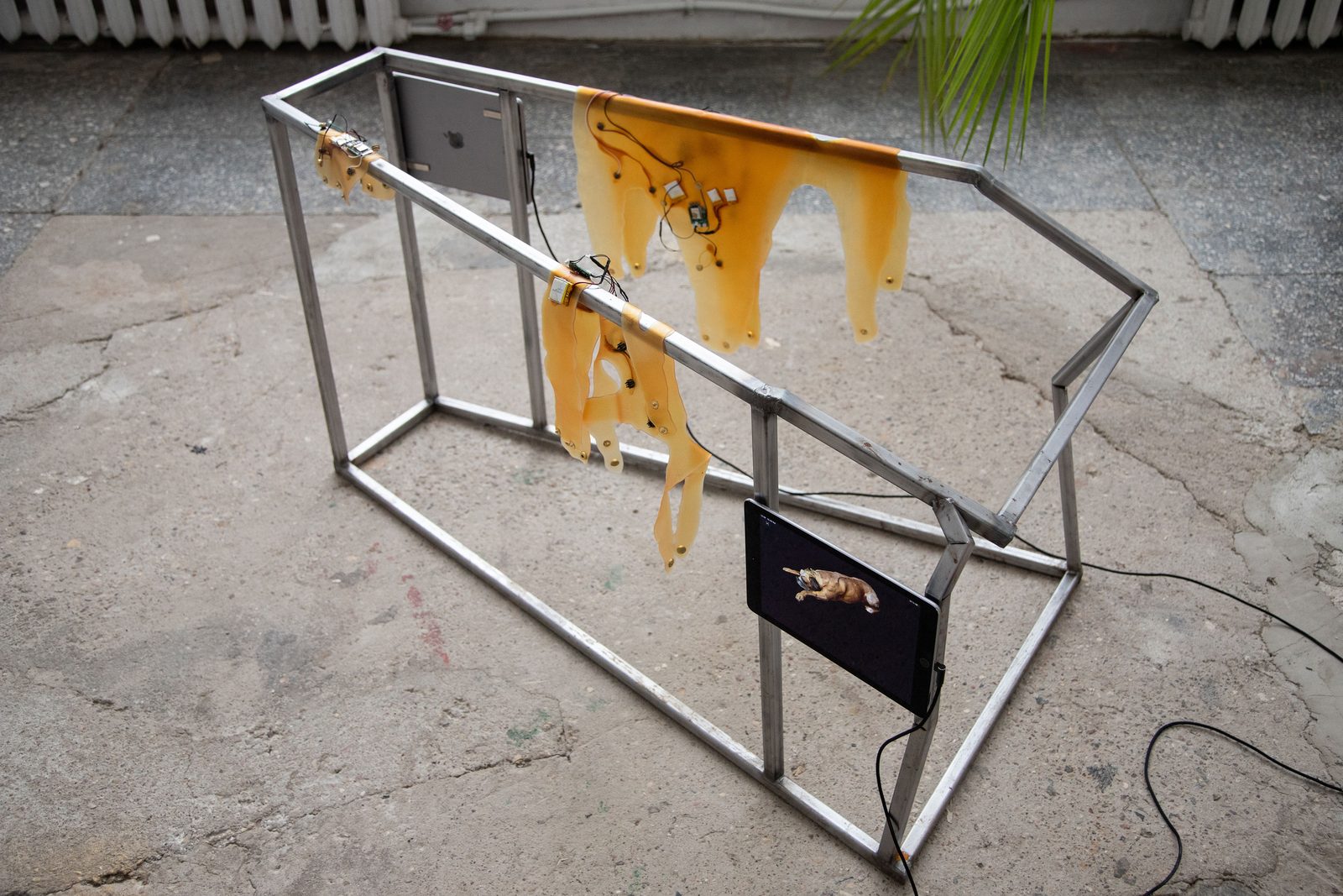 Humans, non-humans, with and without humans