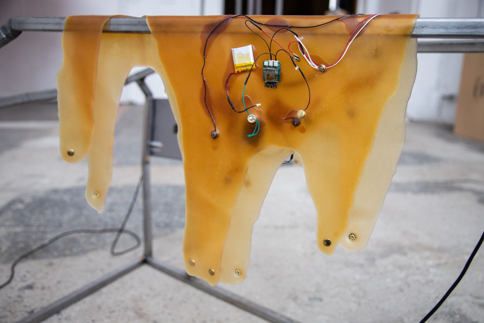 Humans, non-humans, with and without humans