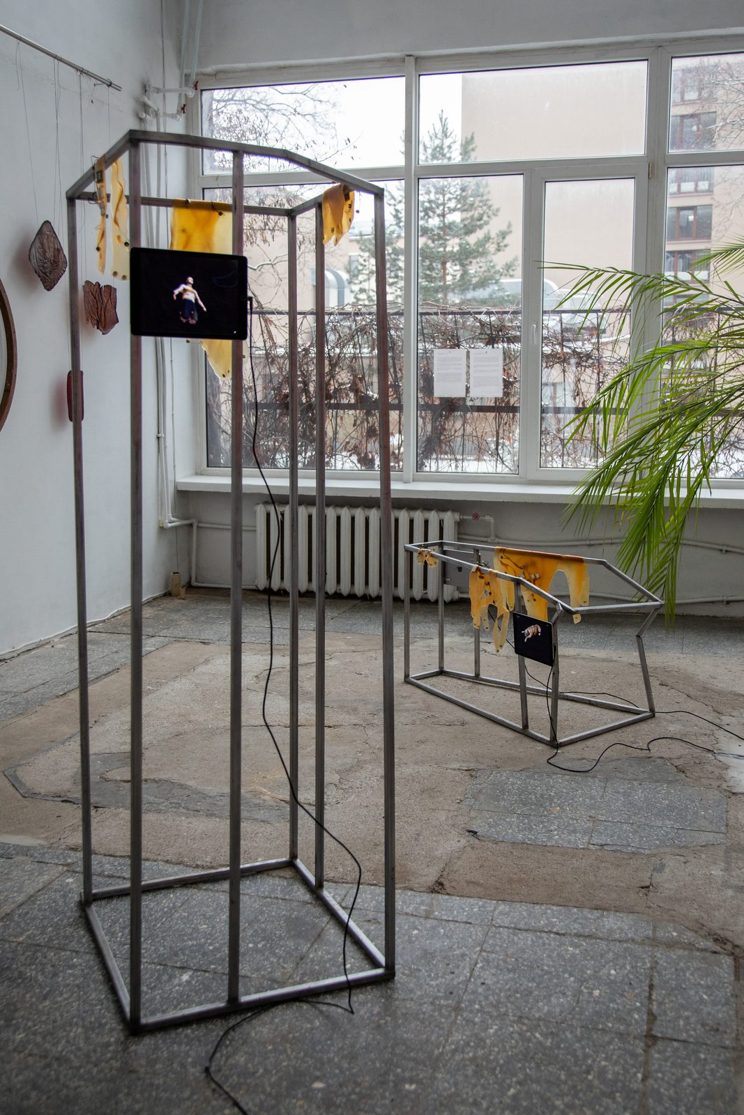 Humans, non-humans, with and without humans