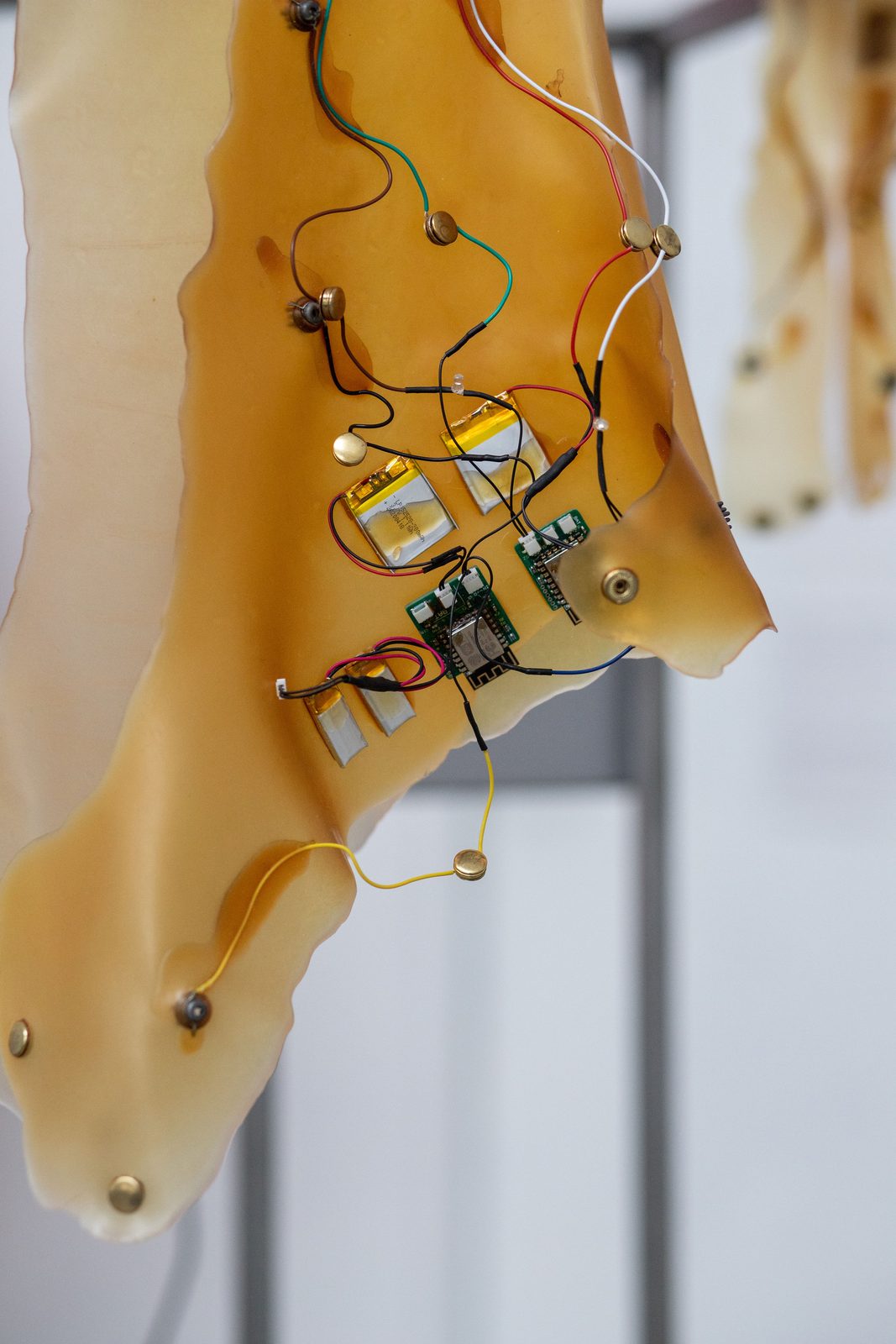 Humans, non-humans, with and without humans