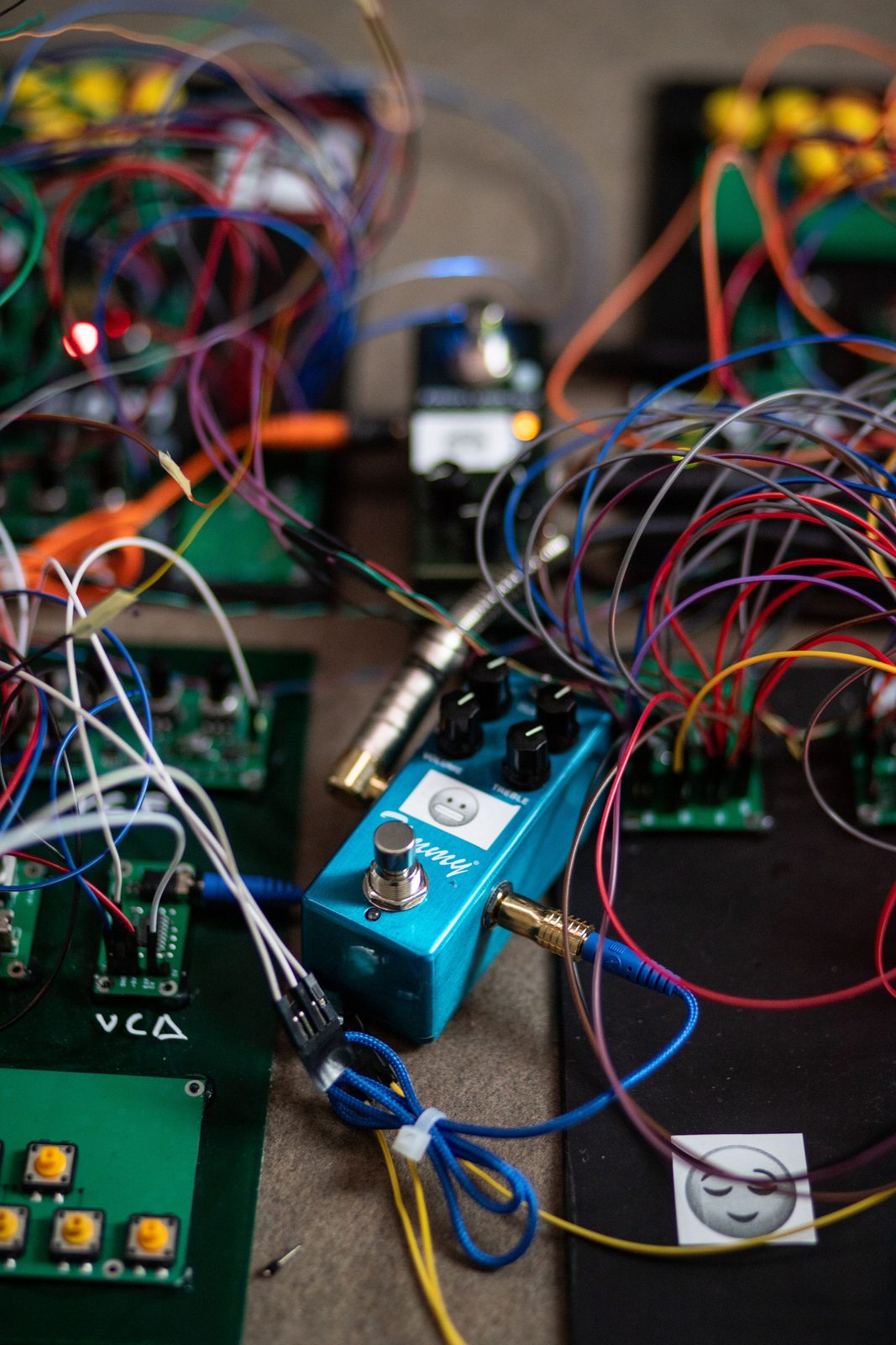 Humans, non-humans, with and without humans