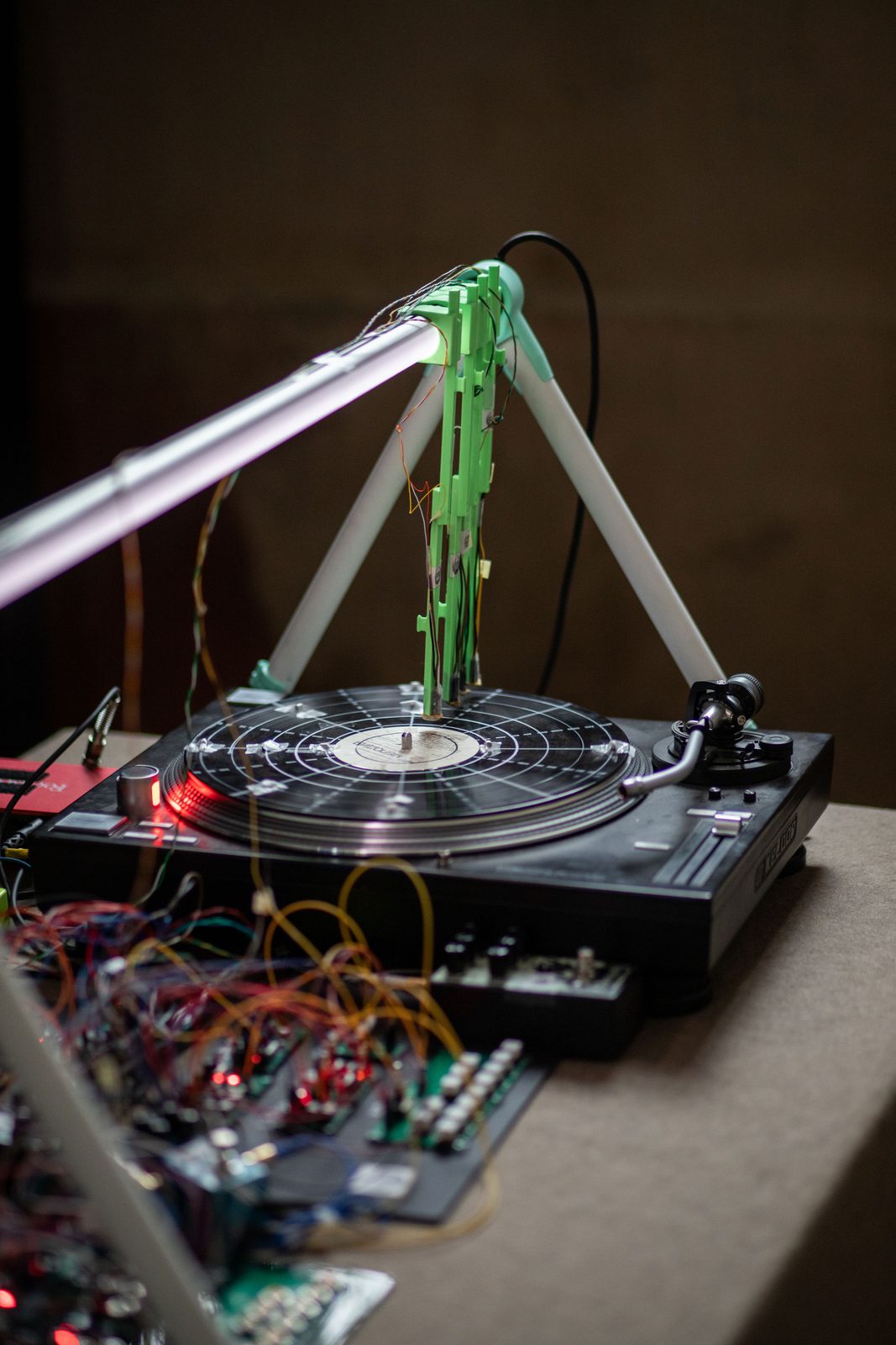 Humans, non-humans, with and without humans