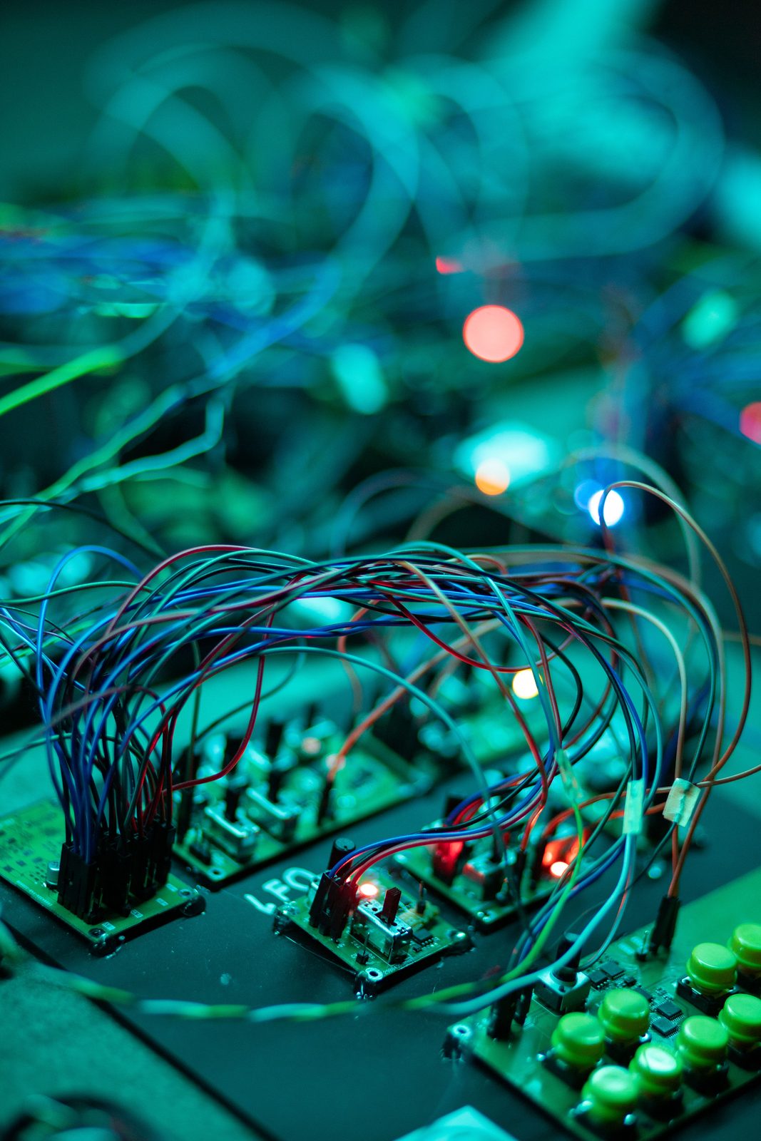 Humans, non-humans, with and without humans