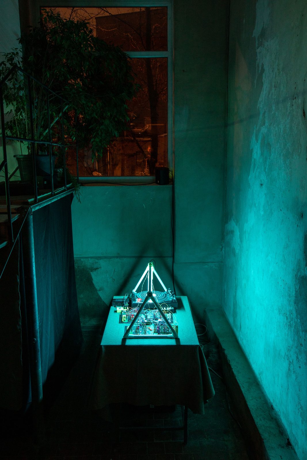 Humans, non-humans, with and without humans